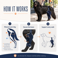 PADDYPAWS Dog Knee Brace — Mobility & Joint Support