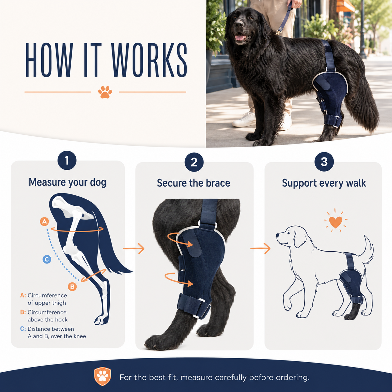 PADDYPAWS Dog Knee Brace — Mobility & Joint Support